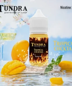 TUNDRA T牌